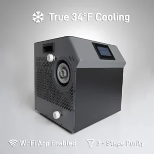 Most Affordable Quietest Chiller For Cold Plunge
